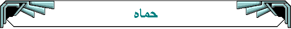 حماه